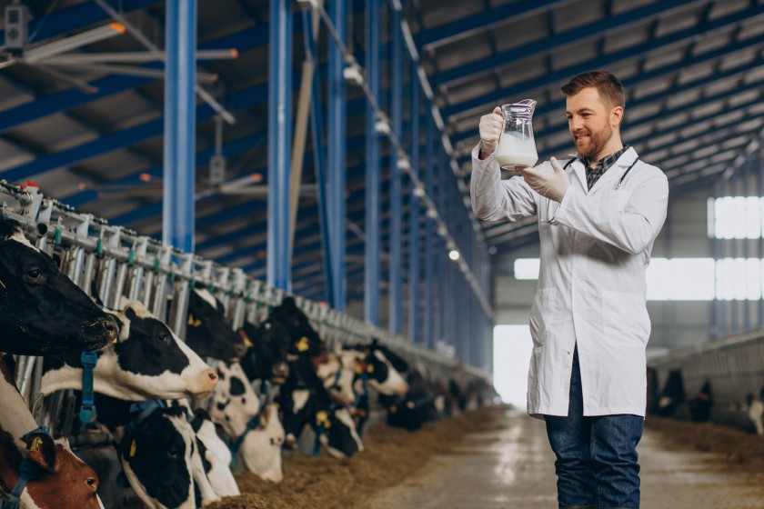 Improved Milk Yield