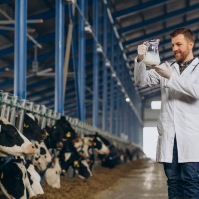 Improved Milk Yield